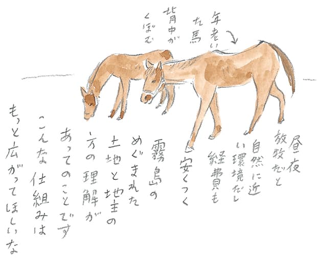 第4回 霧島で引退馬に出会う - 3/3