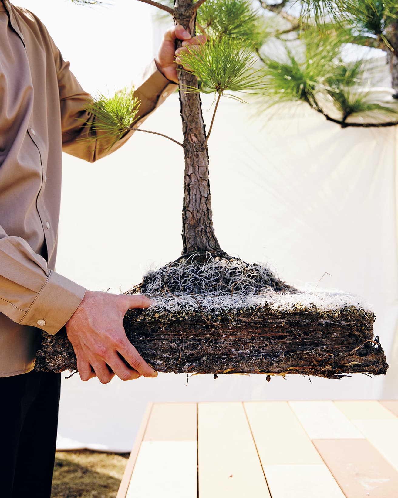 わずか十数センチに希望の植物を収められる緑化マット。適度に成長速度を抑えることができ、地植えに比べると伸びが少なく、メンテナンスの頻度を抑えることもできると山本。