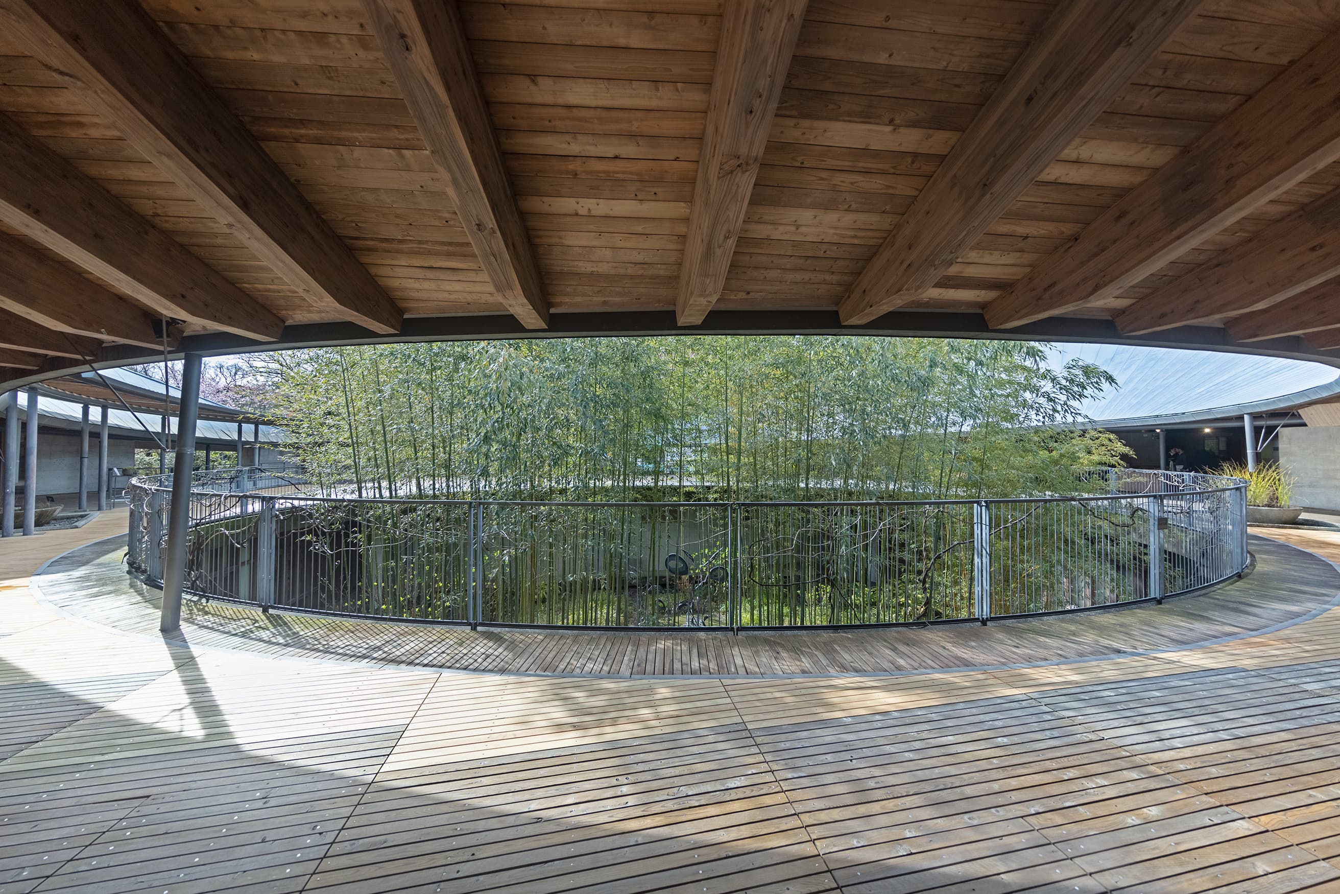 百花繚乱！ 高知の名建築10【高知シティガイド】