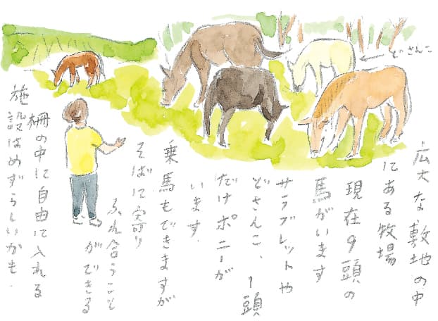 第5回 ヘルスリゾートの馬 - 1/3