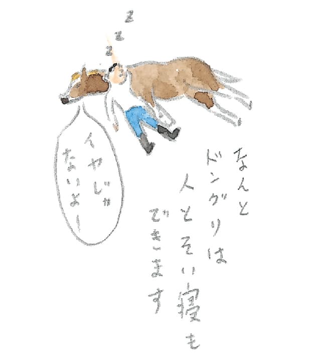 第5回 ヘルスリゾートの馬 - 1/3