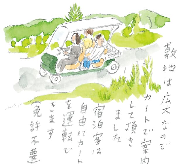 第5回 ヘルスリゾートの馬 - 2/3