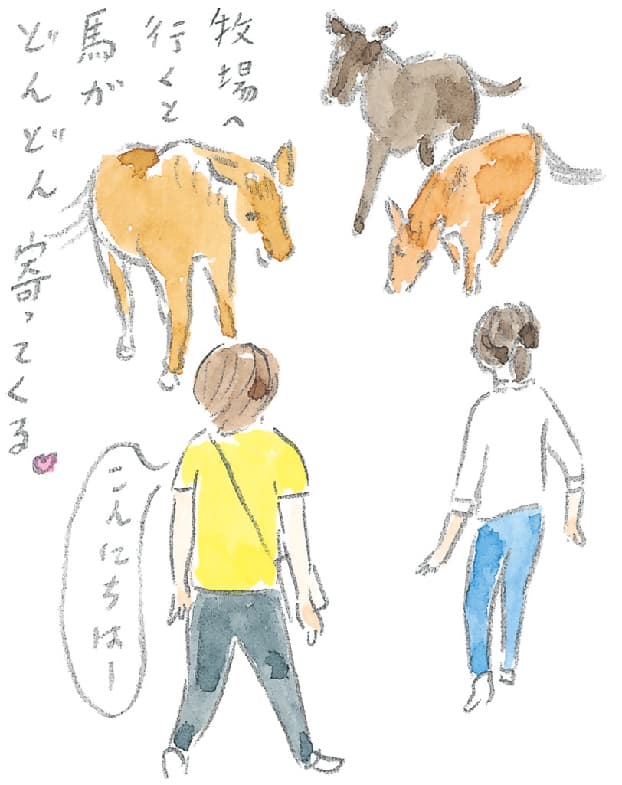 第5回 ヘルスリゾートの馬 - 2/3