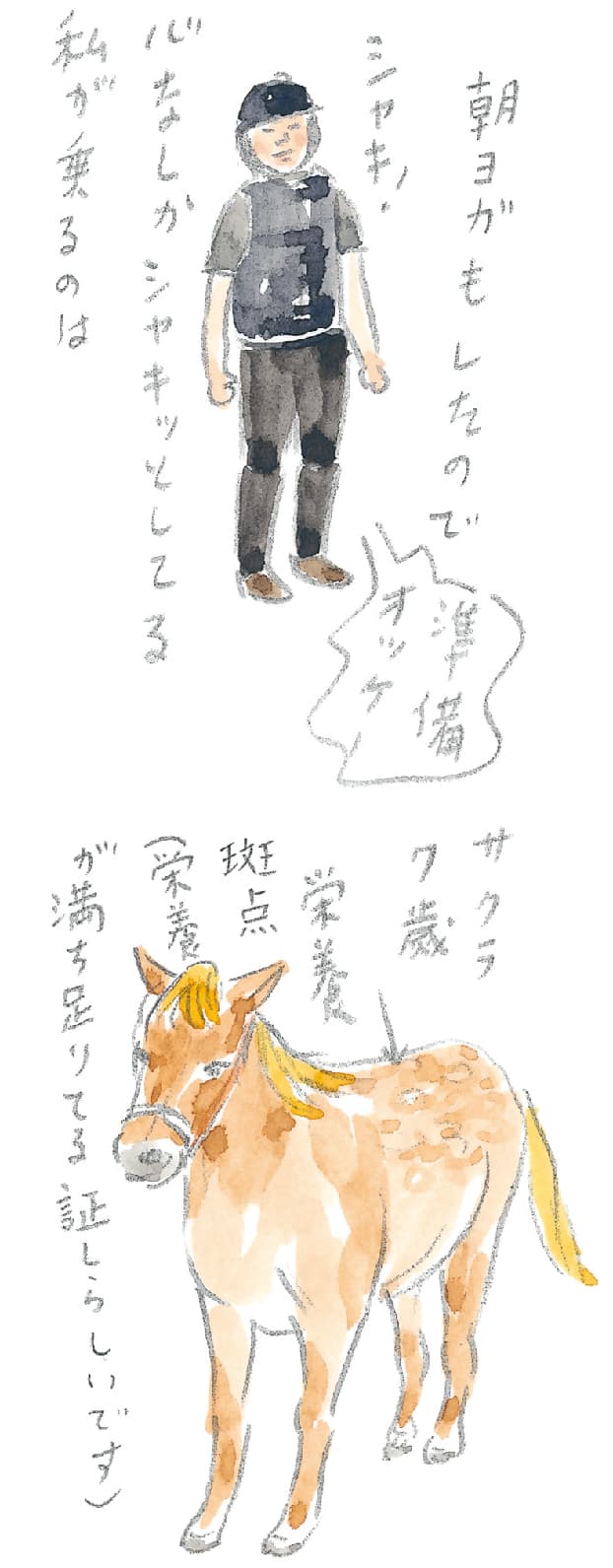 第5回 ヘルスリゾートの馬 - 3/3