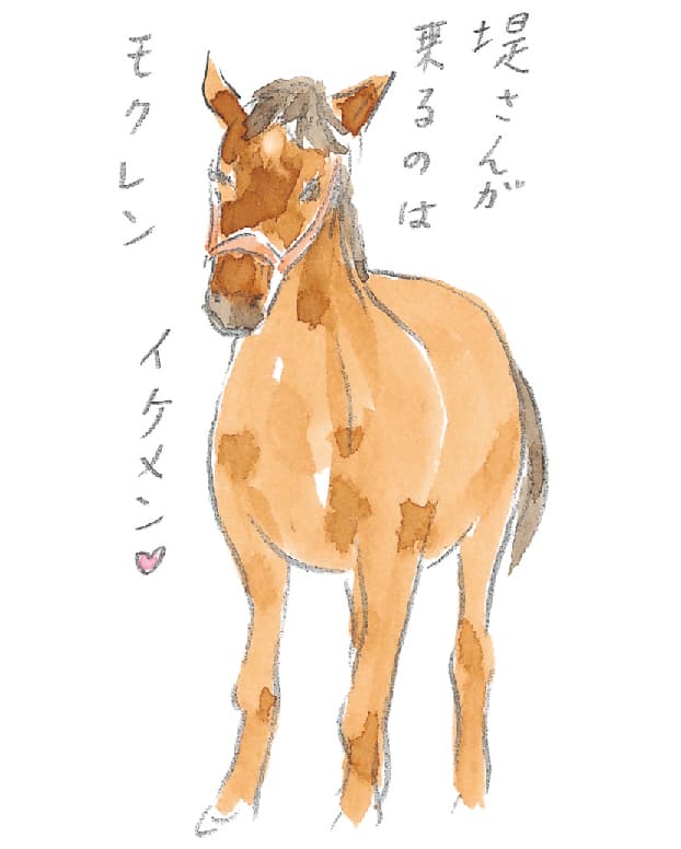 第5回 ヘルスリゾートの馬 - 1/3