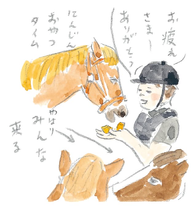 第5回 ヘルスリゾートの馬 - 2/3