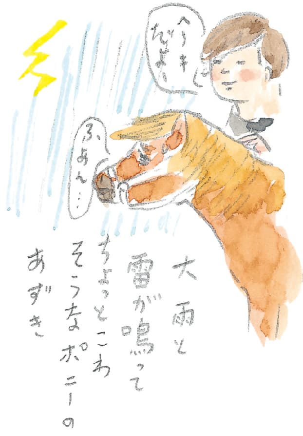 第5回 ヘルスリゾートの馬 - 2/3