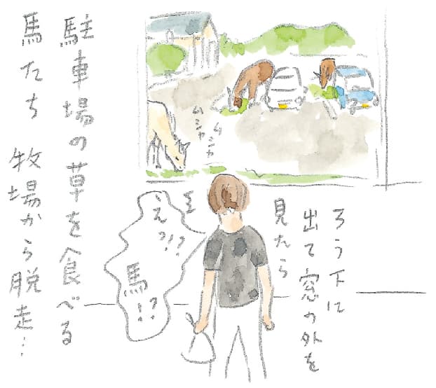 第5回 ヘルスリゾートの馬 - 1/3