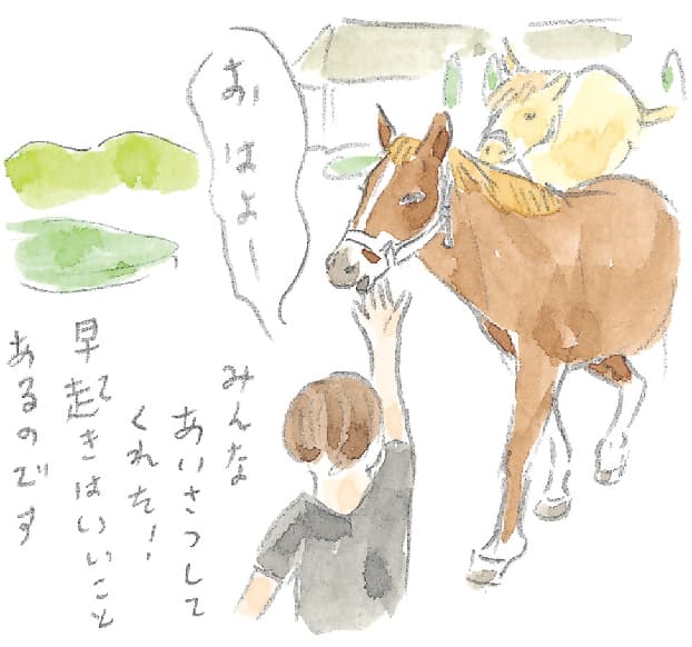 第5回 ヘルスリゾートの馬 - 2/3
