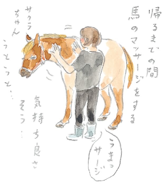 第5回 ヘルスリゾートの馬 - 1/3
