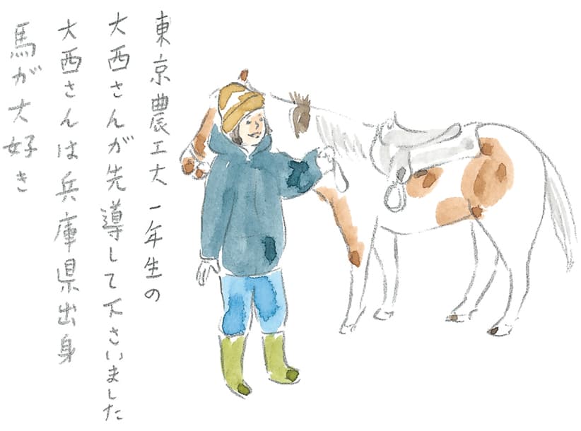 第6回 馬上で見る流氷 - 1/3