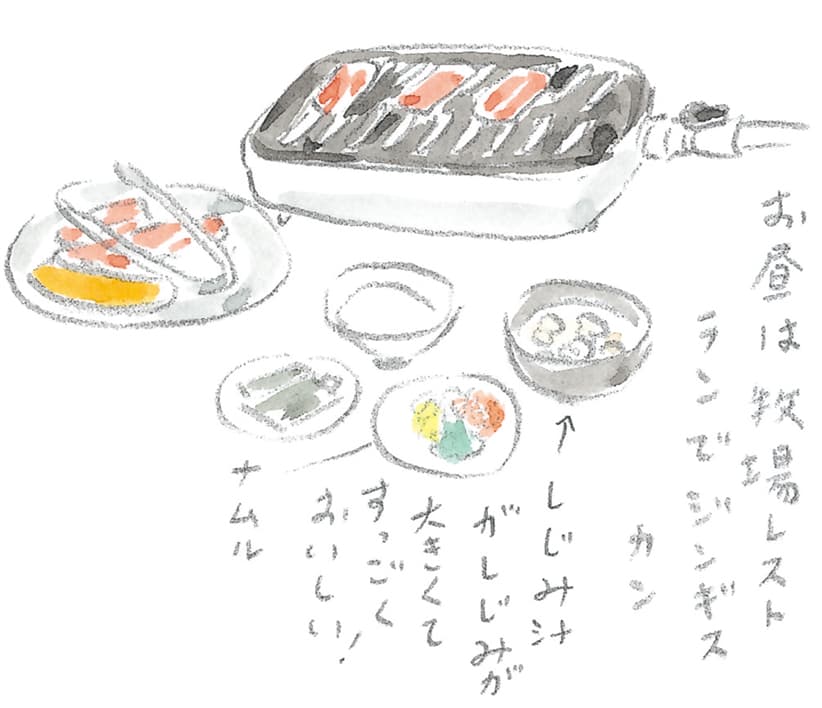 第6回 馬上で見る流氷 - 2/3