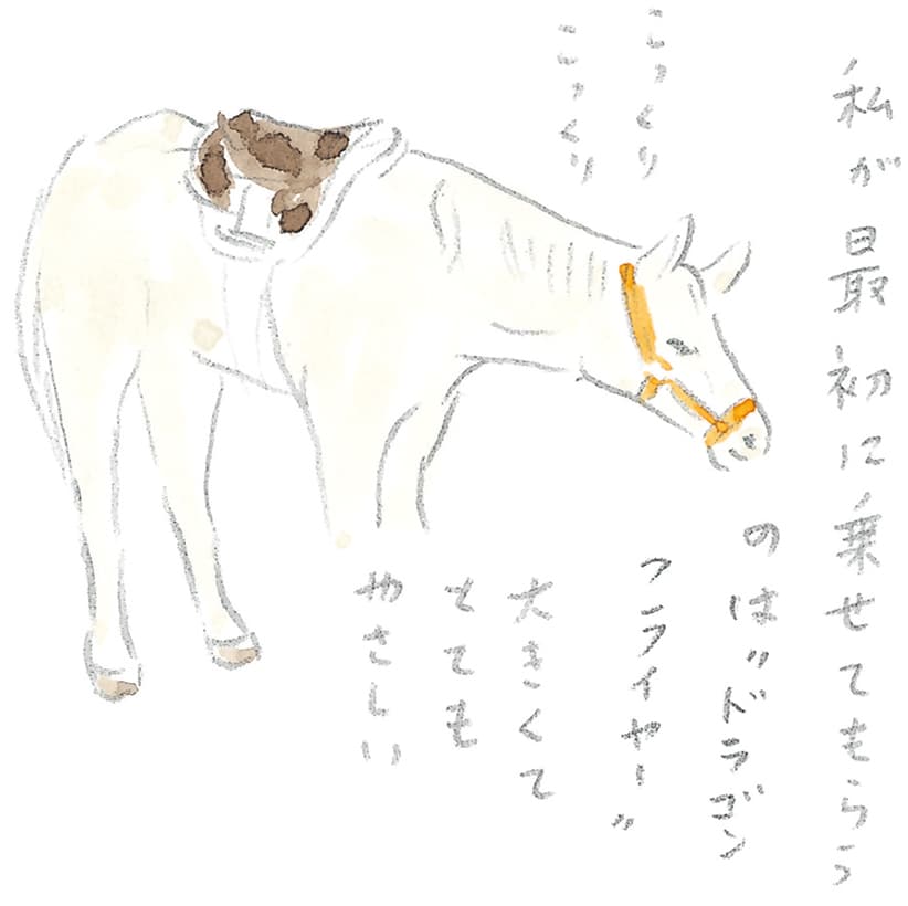 第7回 群「馬」県で馬のレッスン - 2/3