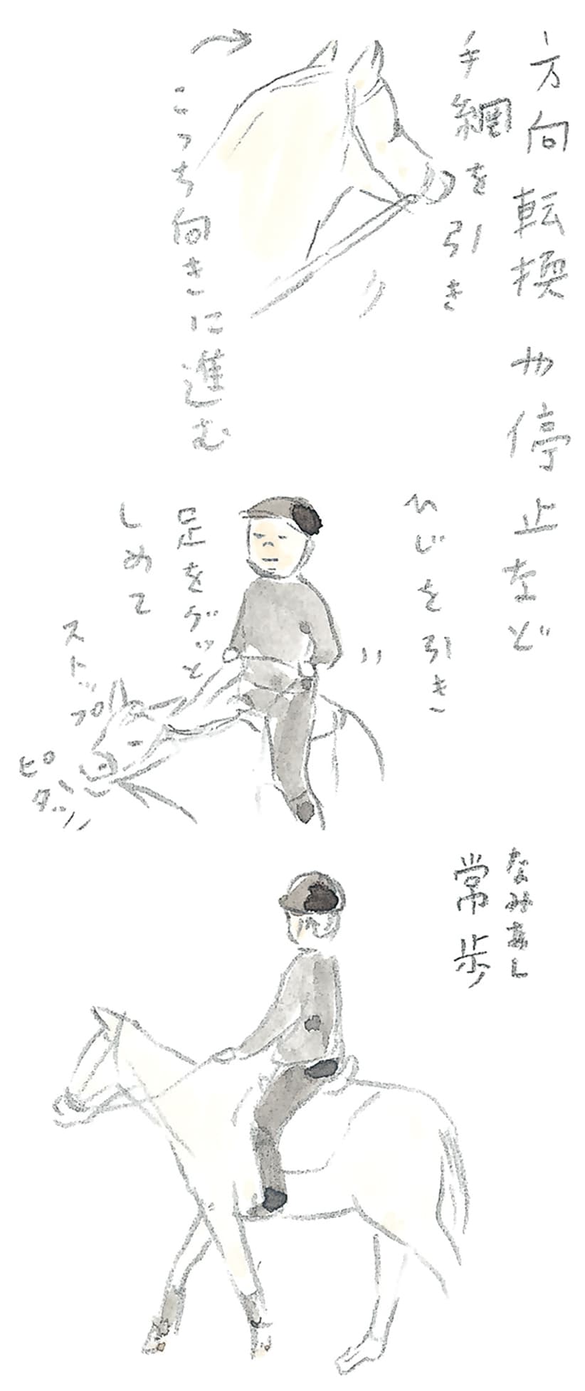 第7回 群「馬」県で馬のレッスン - 1/3