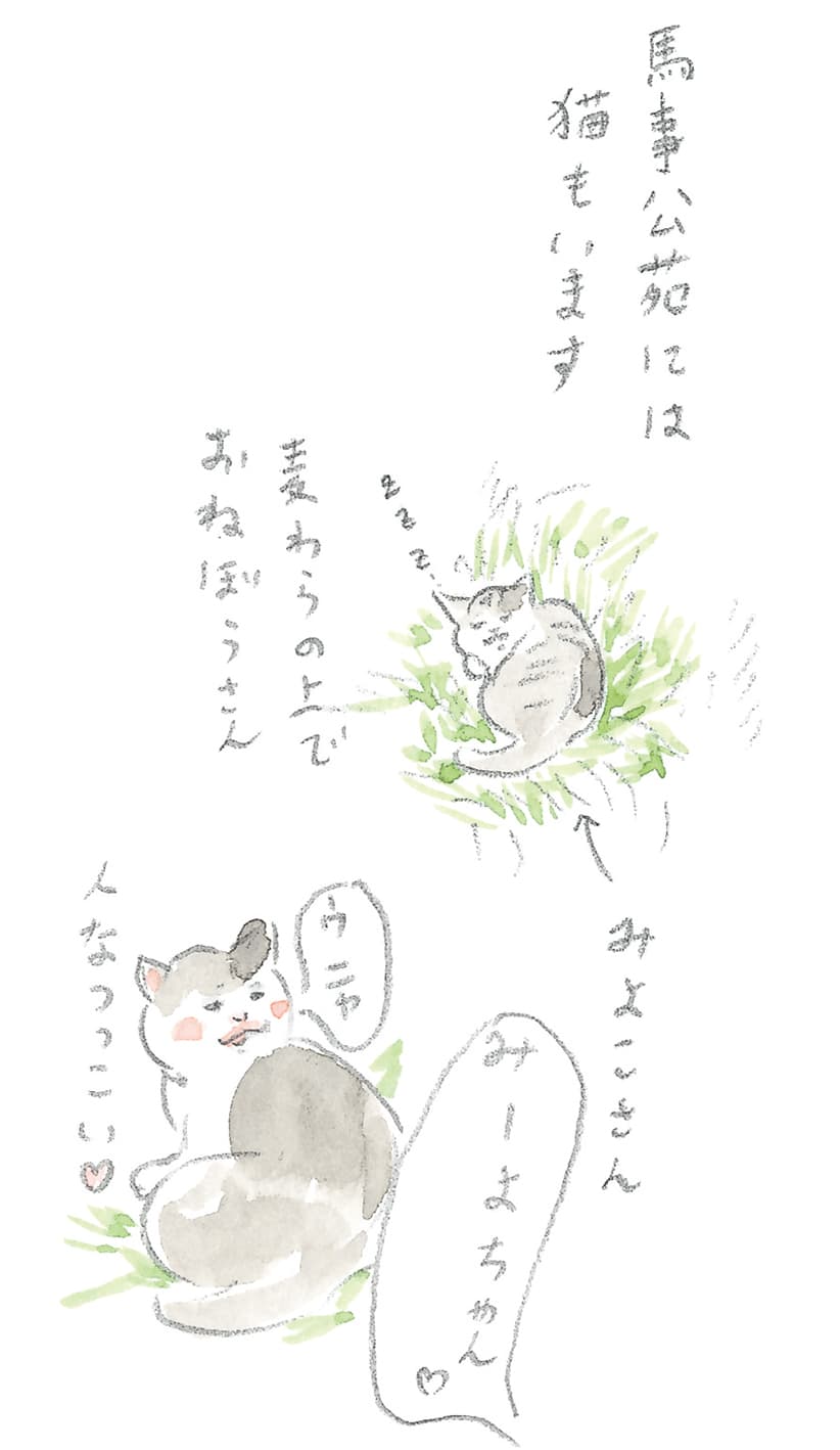 第7回 群「馬」県で馬のレッスン - 2/3