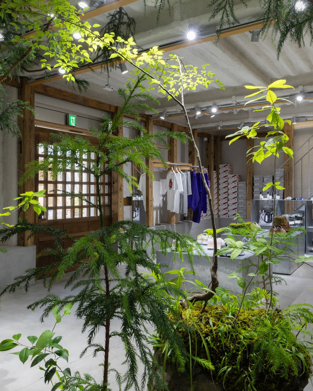 〈T-HOUSE New Balance〉のなかに、〈TSUBAKI〉による清涼な庭が生まれた。