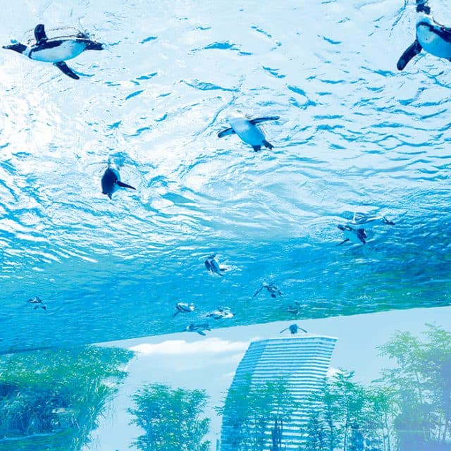 BEST Zoo &amp; Aquarium