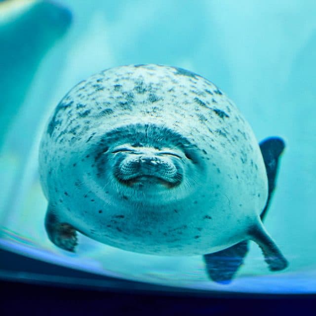BEST Zoo &amp; Aquarium