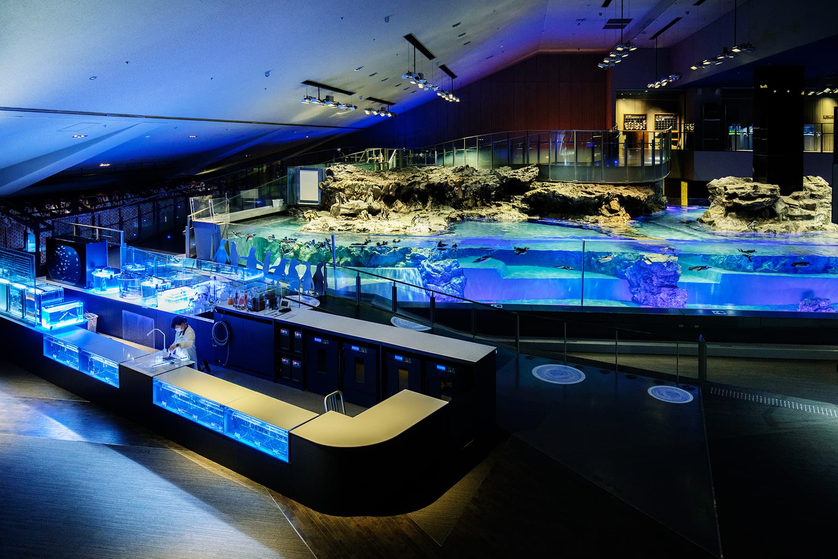 すみだ水族館