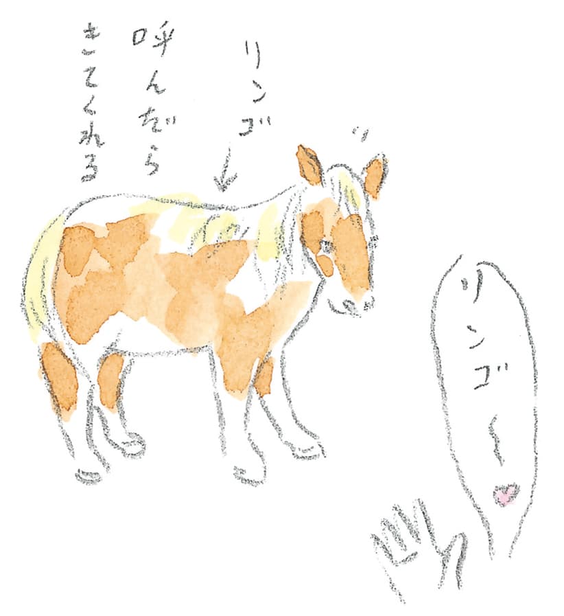 第9回 南部駒の生まれ故郷へ - 1/3