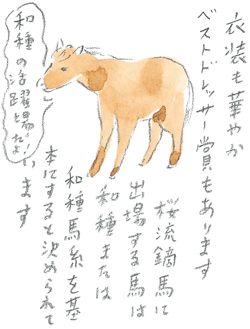 第9回 南部駒の生まれ故郷へ - 1/3