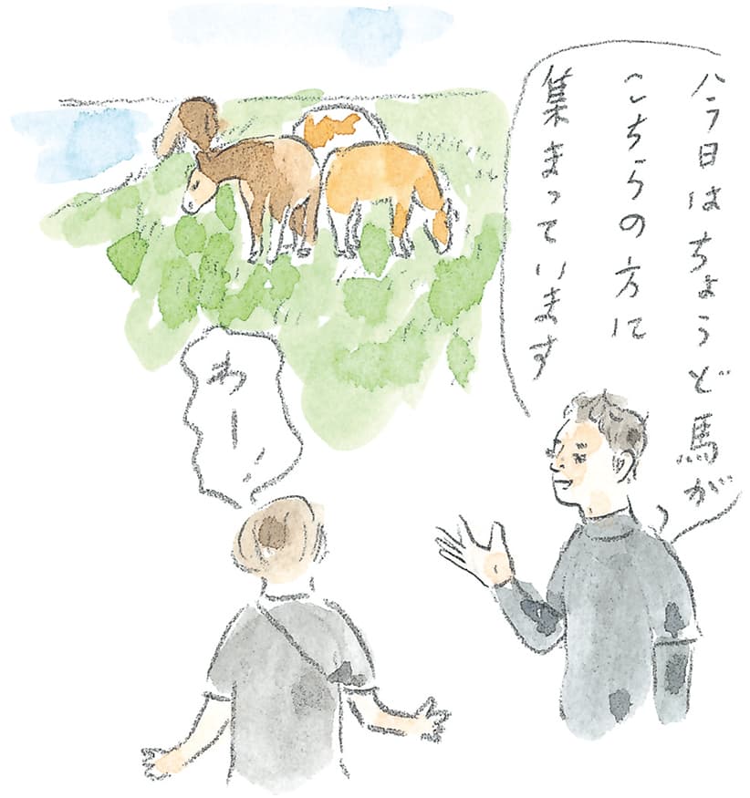 第9回 南部駒の生まれ故郷へ - 1/3