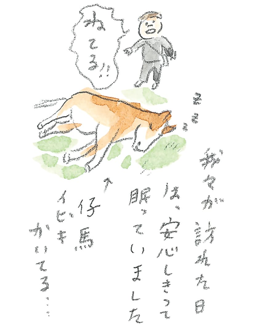 第9回 南部駒の生まれ故郷へ - 3/3