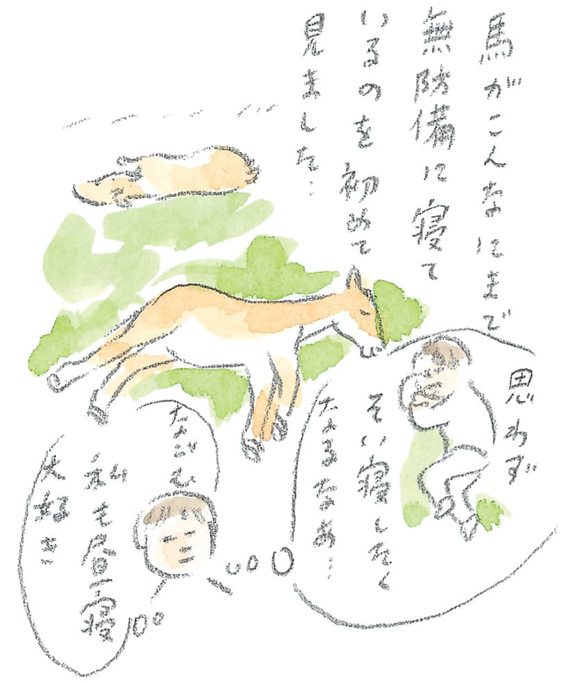 第9回 南部駒の生まれ故郷へ - 1/3