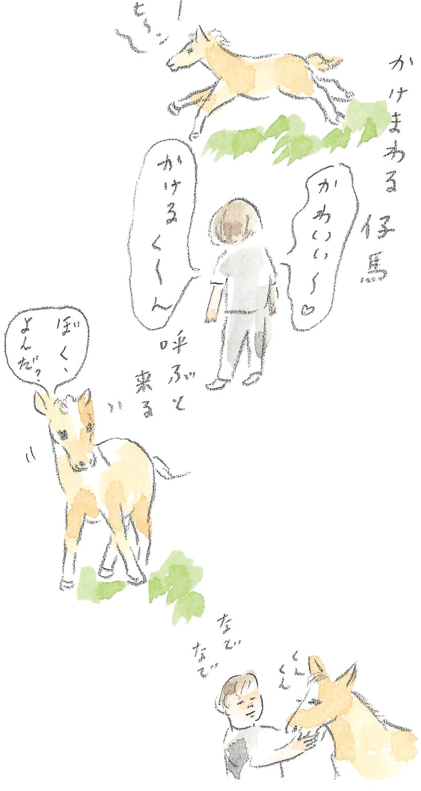 第9回 南部駒の生まれ故郷へ - 2/3