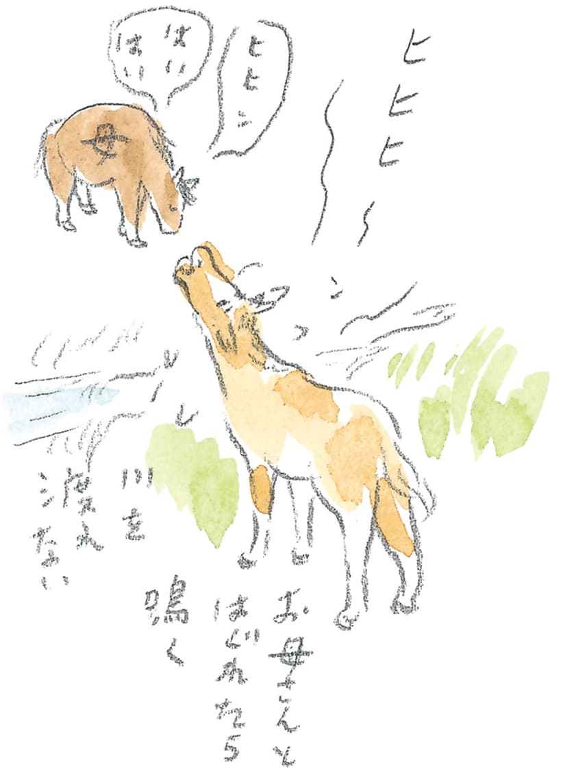 第9回 南部駒の生まれ故郷へ - 3/3