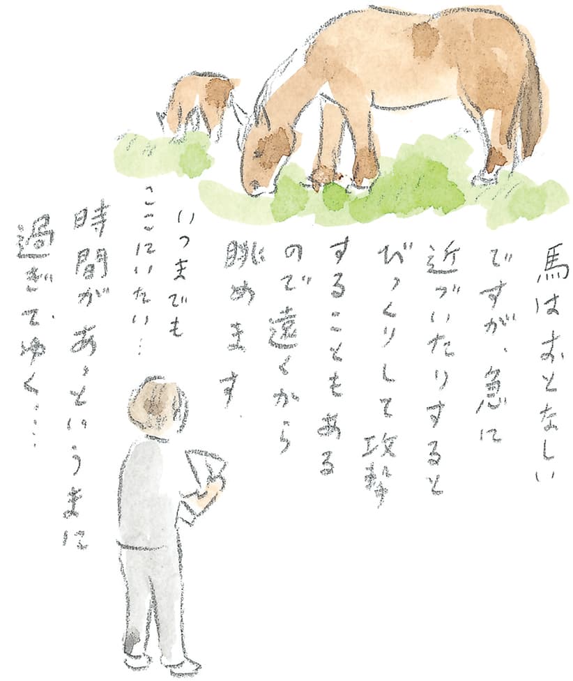 第9回 南部駒の生まれ故郷へ - 1/3
