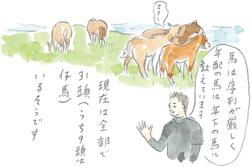 第9回 南部駒の生まれ故郷へ - 2/3