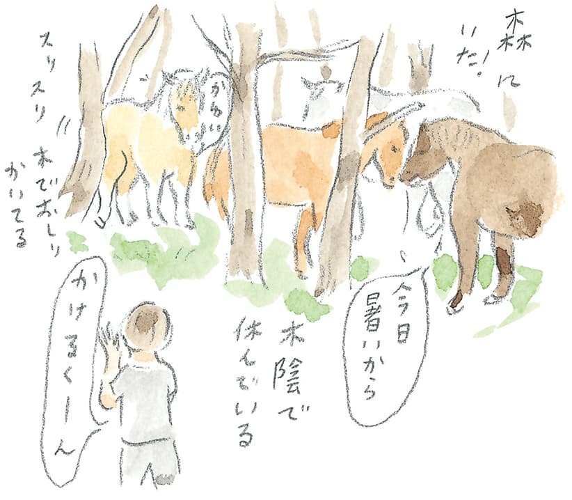 第9回 南部駒の生まれ故郷へ - 1/3