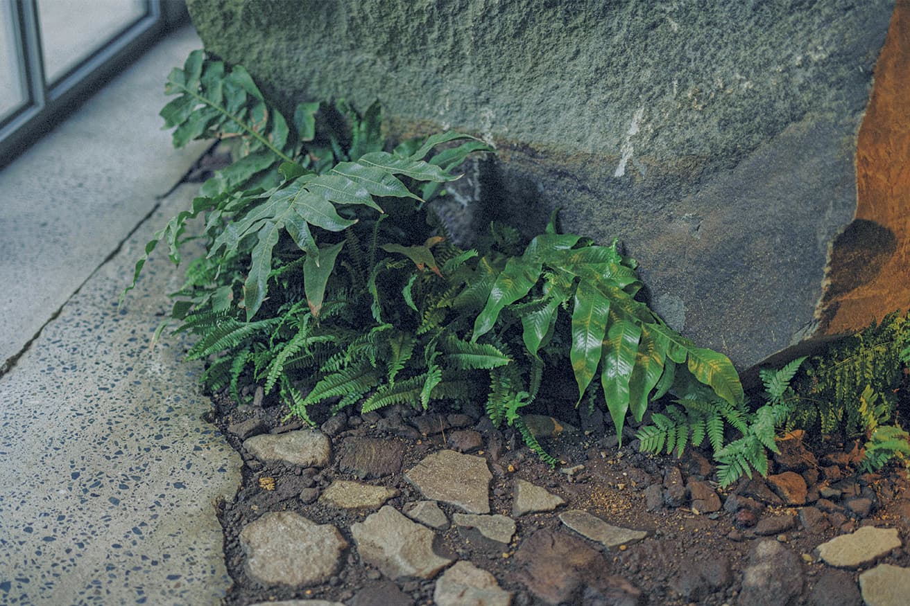 もとあった床をはつり、出現した土にグリーンや石を据え付けた。