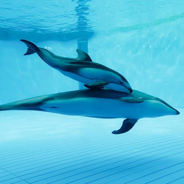 BEST Zoo &amp; Aquarium