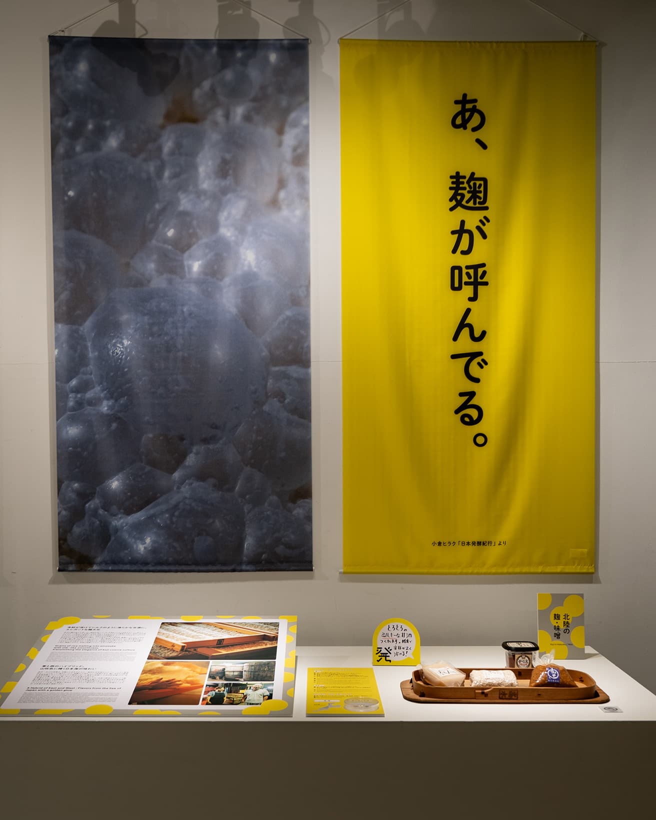 麹と味噌についての展示コーナー。金沢以外にも、石川県内には数多くの麹を扱う商店が見られる。