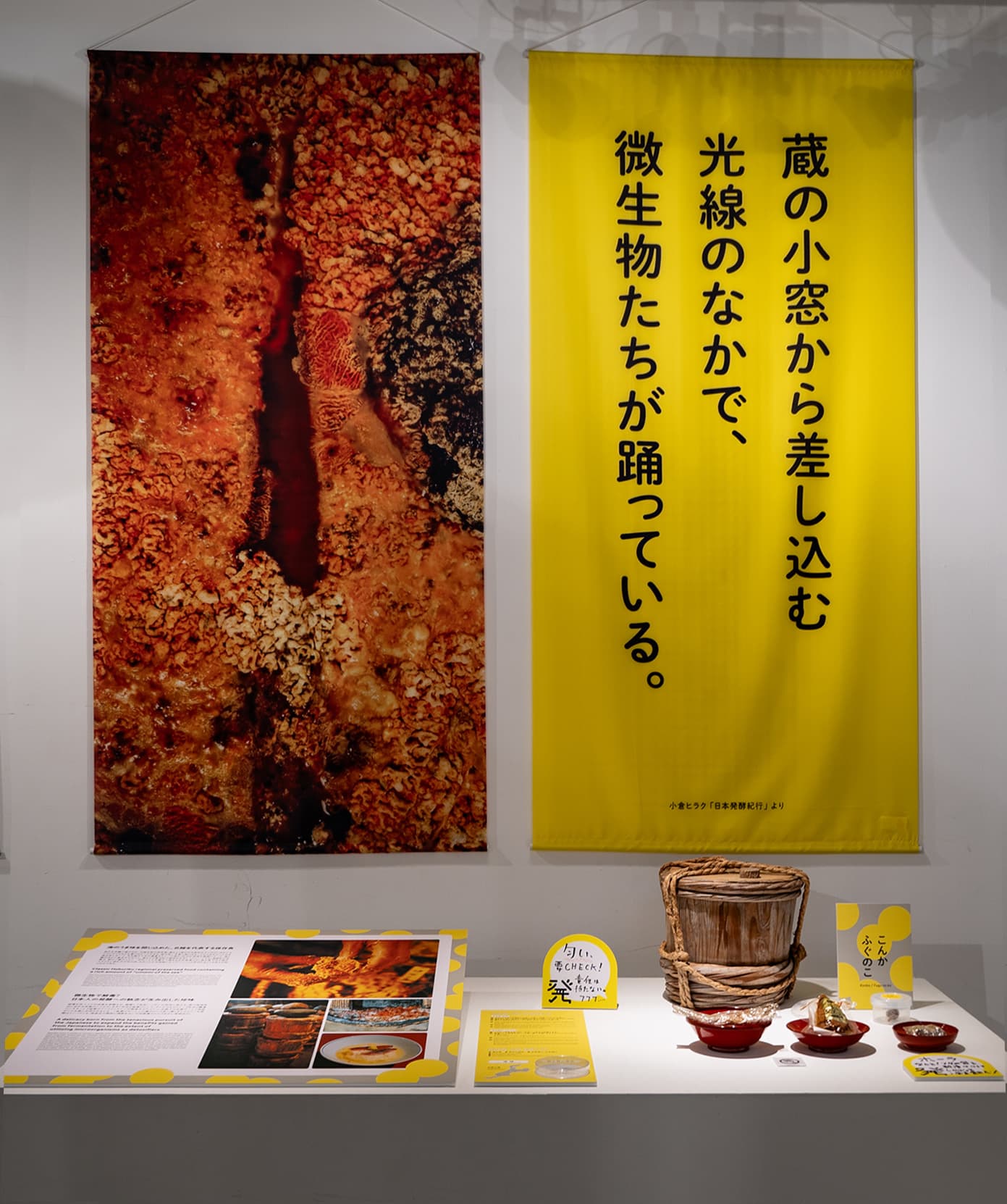日本近海で獲れた新鮮な魚を米ぬかに漬けた、北陸の伝統保存食「こんか」について学べる。