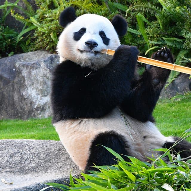 BEST Zoo &amp; Aquarium