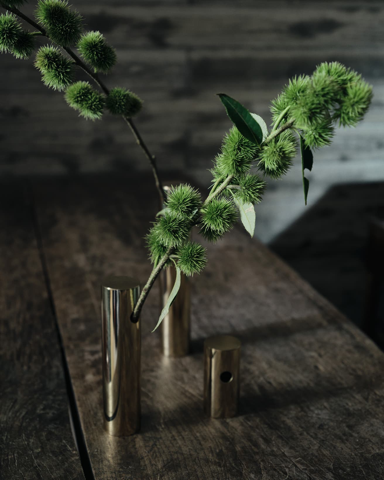 【今週の花と器】三度栗と〈TAK. Studio〉の《ウッドペッカーツリー》｜10月