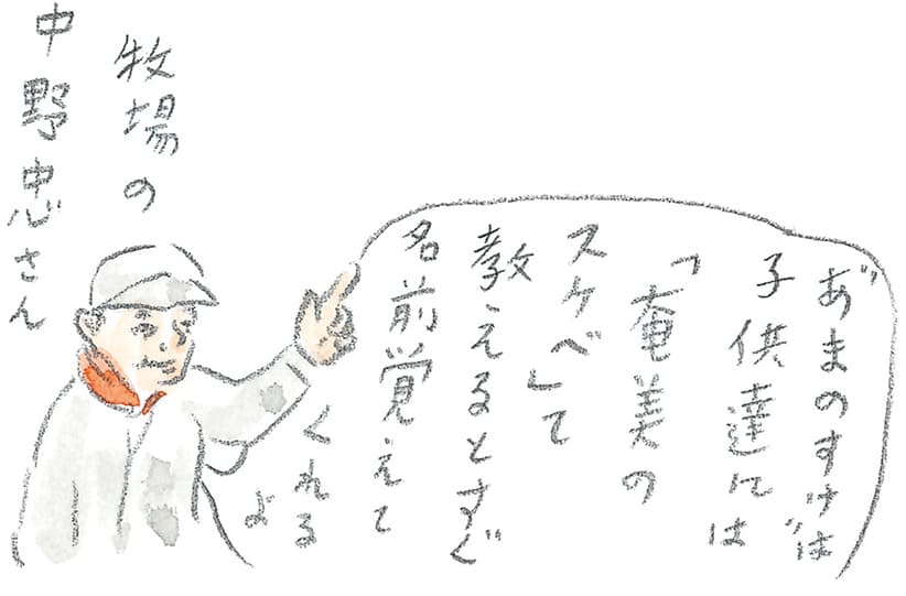 第11回 トカラ馬（喜界馬）に会いに - 3/3
