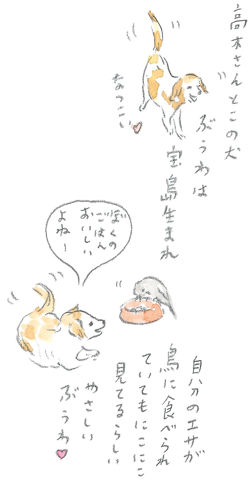 第11回 トカラ馬（喜界馬）に会いに - 2/3