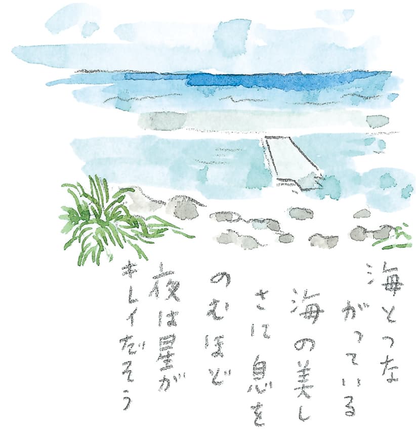 第11回 トカラ馬（喜界馬）に会いに - 1/3