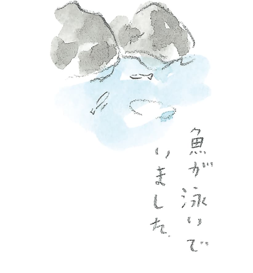 第11回 トカラ馬（喜界馬）に会いに - 2/3