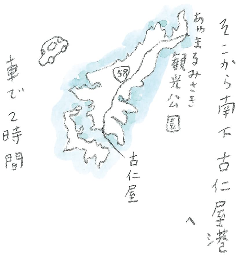 第11回 トカラ馬（喜界馬）に会いに - 3/3