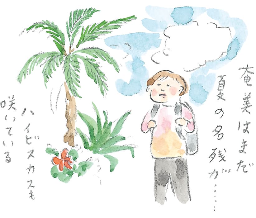 第11回 トカラ馬（喜界馬）に会いに - 1/3
