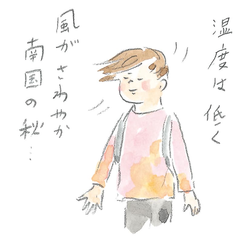 第11回 トカラ馬（喜界馬）に会いに - 2/3