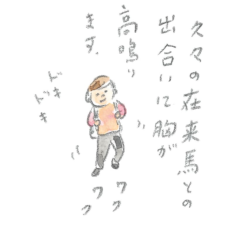 第11回 トカラ馬（喜界馬）に会いに - 3/3