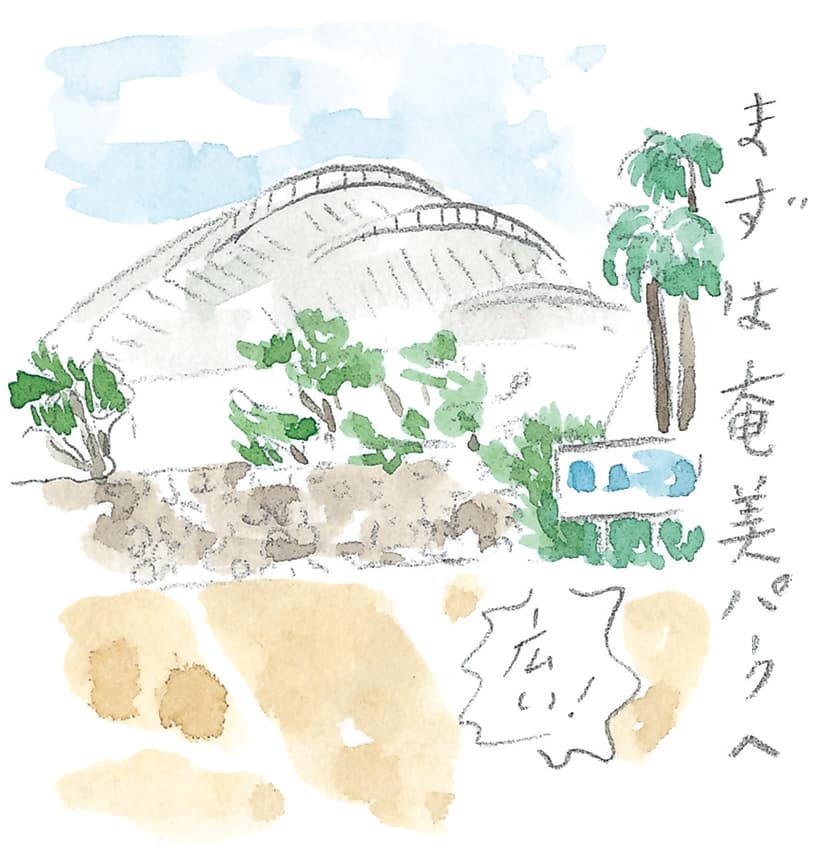第11回 トカラ馬（喜界馬）に会いに - 1/3