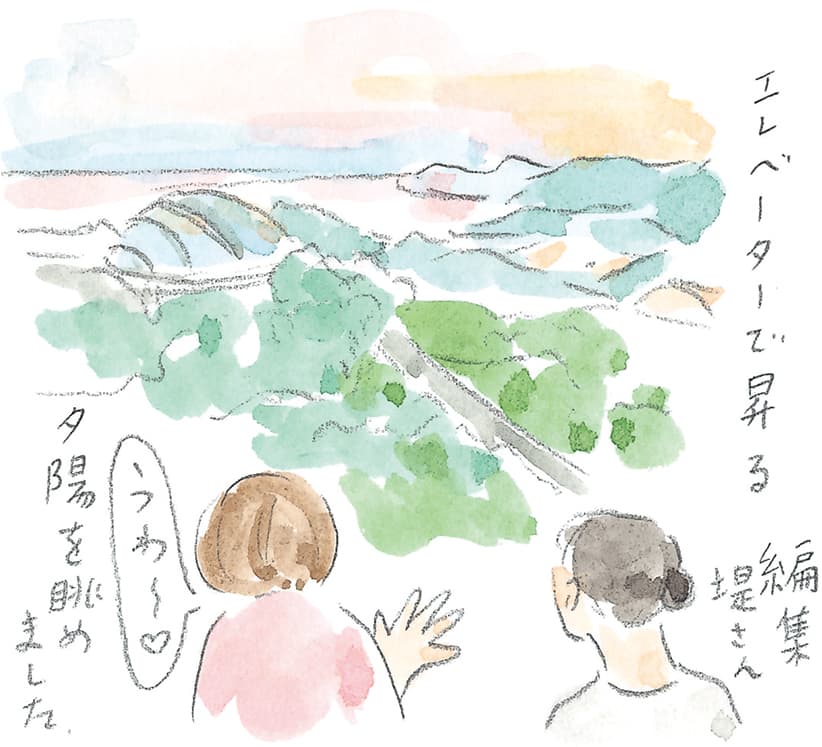 第11回 トカラ馬（喜界馬）に会いに - 3/3