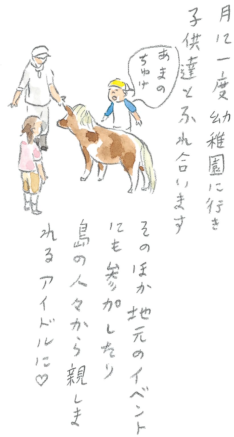 第11回 トカラ馬（喜界馬）に会いに - 3/3